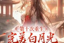 小说《第十次重生,完美白月光她装傻摆烂》章节免费阅读-个性文学