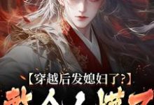 穿越后发媳妇了？整个人懵了萧辰小说免费阅读-个性文学