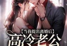 完结版《当我提出离婚后,高冷老公哭红了眼》在线免费阅读-个性文学