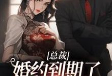 已完结小说《总裁，婚约到期了，麻烦请放手》章节免费阅读-个性文学