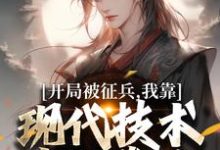 小说《开局被征兵，我靠现代技术走上巅峰》章节免费阅读-个性文学