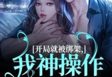 江印照季砚淮小说《开局就被绑架,我神操作自救成功》在线阅读-个性文学