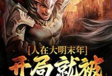 人在大明末年，开局就被暗杀活埋小说无弹窗阅读的网站推荐-个性文学