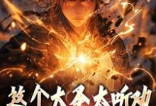 《这个大圣太听劝，玩坏西游世界！》小说孙昊章节章节免费在线阅读-个性文学