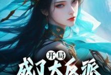 完结版《开局成了大反派,把女主卷哭了》在线免费阅读-个性文学