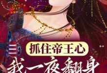 抓住帝王心，我一夜翻身成宠妃小说全文哪里可以免费看？-个性文学