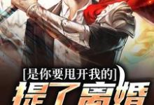 《是你要甩开我的，提了离婚你哭啥？》小说章节在线试读，《是你要甩开我的，提了离婚你哭啥？》最新章节目录-个性文学