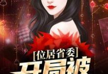 位居省委,开局被妻子举报黎锦苏玉在线章节免费阅读-个性文学