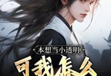 完结版《本想当小透明，可我怎么无敌了！》章节阅读-个性文学