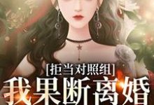 拒当对照组,我果断离婚逃离渣夫小说最新更新在哪里?免费在线看-个性文学