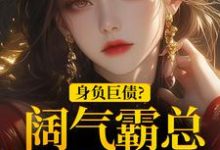 在线免费阅读身负巨债？阔气霸总随手解决！完整小说-个性文学