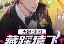 火影：杀团藏踩猿飞，我无敌了波风千叶，火影：杀团藏踩猿飞，我无敌了章节在线阅读-个性文学