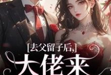 求去父留子后，大佬来抓我啦小说的全文免费阅读链接-个性文学