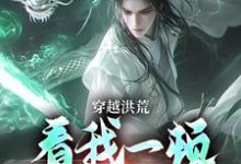 穿越洪荒：看我一顿骚操作吴天后土，穿越洪荒：看我一顿骚操作在线无弹窗阅读-个性文学