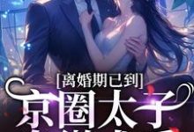 离婚期已到！京圈太子卑微求爱（沈青瓷席星野）在线免费阅读-个性文学