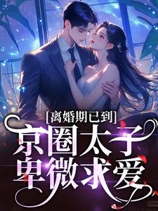 离婚期已到！京圈太子卑微求爱（沈青瓷席星野）在线免费阅读