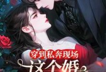 穿到私奔现场，这个婚离不了一点小说有没有完结版在线？-个性文学