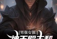 寻找男强女强：神王殿主和女特工闪婚了小说的最新更新章节-个性文学