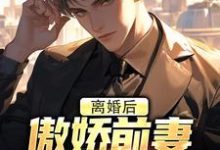 离婚后，傲娇前妻被疯狂打脸小说在线无弹窗免费阅读-个性文学