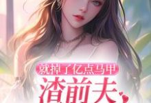 无删减版《就掉了亿点马甲,渣前夫哭着求复婚》章节目录在线阅读-个性文学