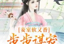 无删减版《妾室软又香，步步谋宠艳压群芳》全章节阅读-个性文学