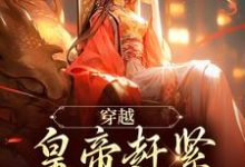 主角如意康熙小说无删减版在线阅读，穿越：皇帝赶紧给我打江山免费看-个性文学