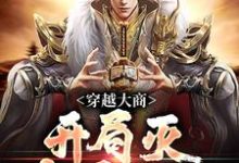 主角叫殷寿小说穿越大商，开局灭十万叛军免费阅读-个性文学