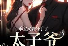 小说《乖宝又要分手了，太子爷求贴贴》在线阅读-个性文学