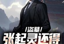 已完结小说《盗墓：张起灵还得靠我守护？》在线阅读-个性文学