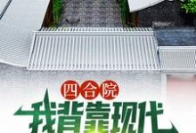 无删减版《四合院：我背靠现代贴吧网友，躺赢》免费阅读-个性文学