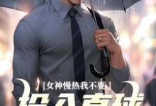 主角叫丁歌王诗雪的小说在哪阅读-个性文学