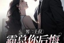 求男二上位，霸总你后悔也没用小说免费资源-个性文学