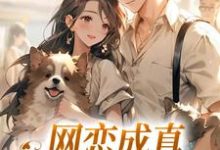 小说《网恋成真，这小子乐癫了》在线阅读-个性文学