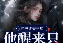 季司予鹿晚星小说在线免费阅读（守护丈夫三年，他醒来只要白月光无弹窗无删减）-个性文学