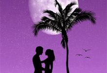 《不复婚不回头，豪门弃妇独美》全集免费在线阅读（姜黎黎傅行琛）-个性文学