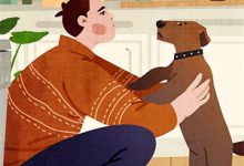 《后院的秘密》小说林峰章节章节免费在线阅读-个性文学