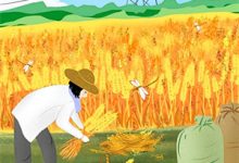 人间再无你回音小说全文哪里可以免费看？-个性文学